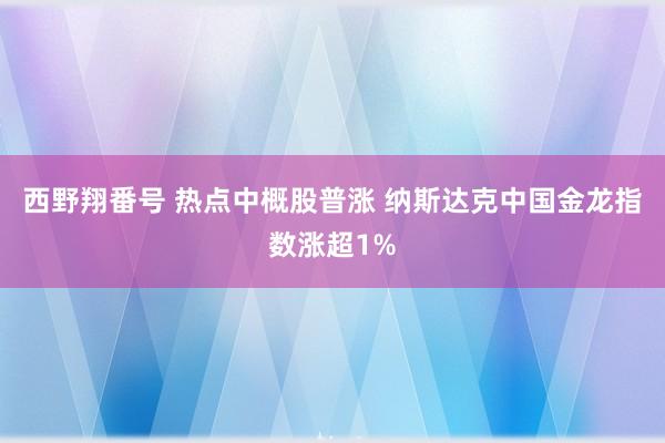 西野翔番号 热点中概股普涨 纳斯达克中国金龙指数涨超1%