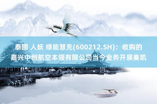泰國 人妖 绿能慧充(600212.SH)：收购的嘉兴中创航空本领有限公司当今业务开展奏凯