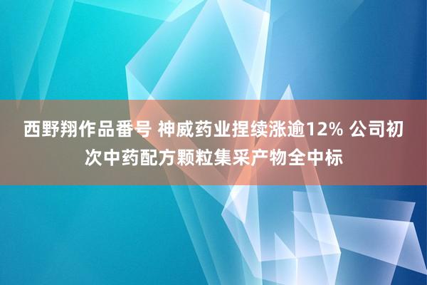 西野翔作品番号 神威药业捏续涨逾12% 公司初次中药配方颗粒集采产物全中标