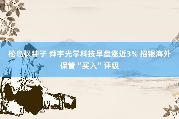 松岛枫种子 舜宇光学科技早盘涨近3% 招银海外保管“买入”评级