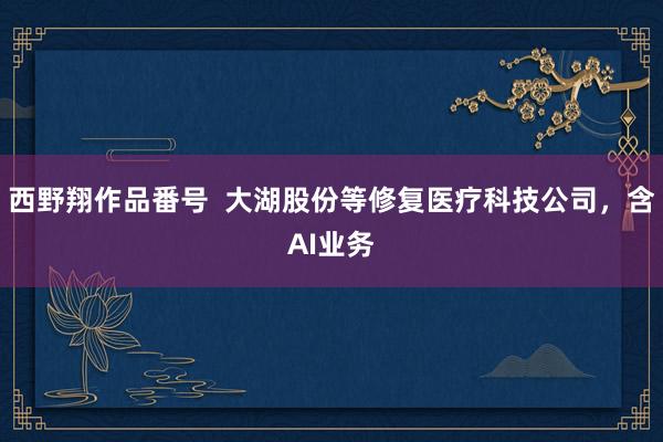 西野翔作品番号  大湖股份等修复医疗科技公司，含AI业务