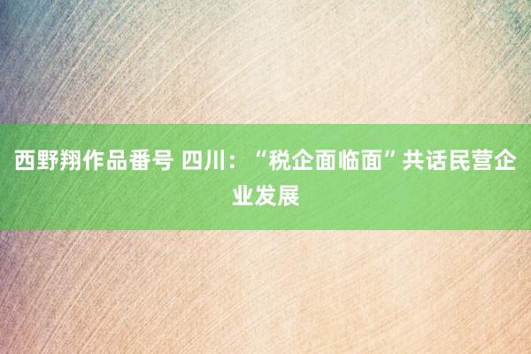 西野翔作品番号 四川：“税企面临面”共话民营企业发展